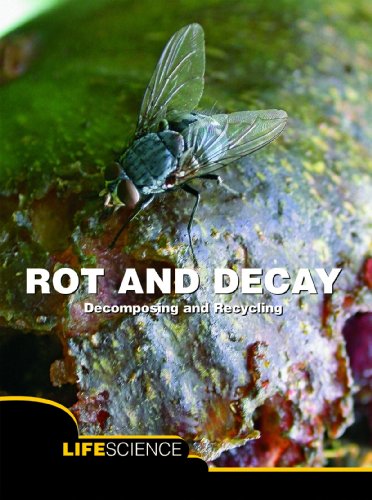 Rot and decay : a story of death, scavengers, and recycling