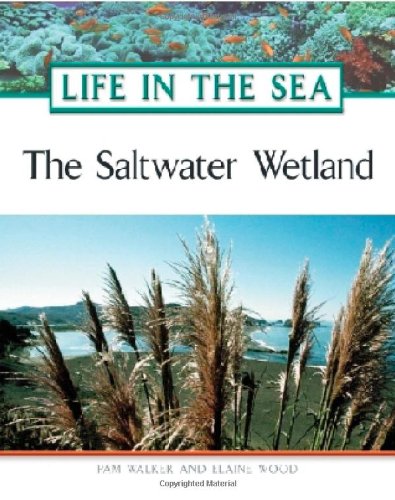 The saltwater wetland