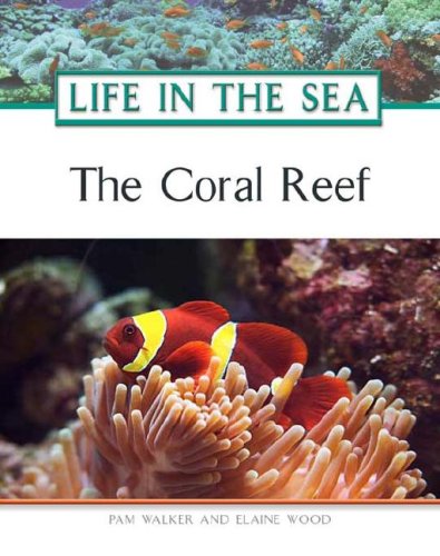 The coral reef
