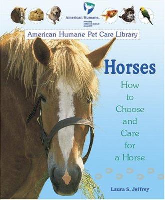 Horses : how to choose and care for a horse
