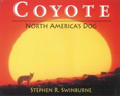 Coyote : North America's dog