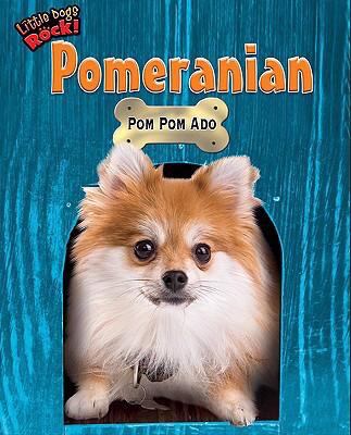 Pomeranian : pom pom ado
