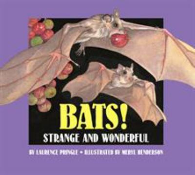 Bats! : strange and wonderful