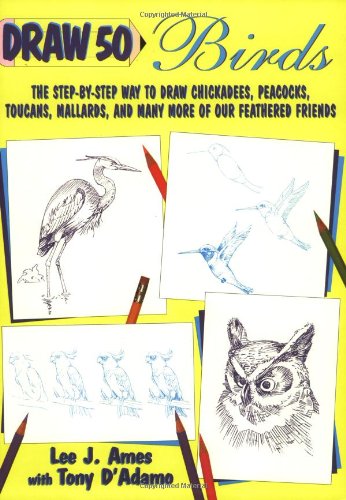 Draw 50 birds