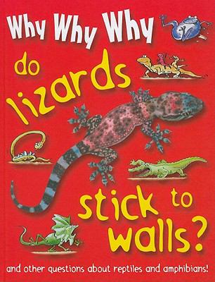 Why Why Why Do Lizards Stick To Walls?.