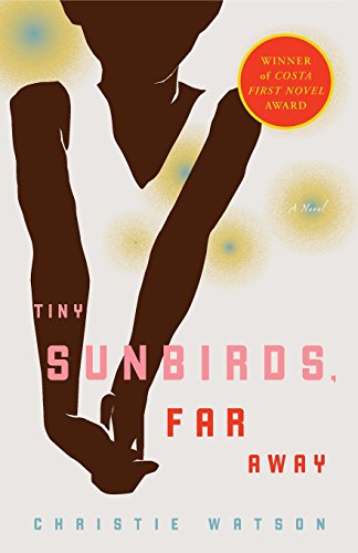 Tiny sunbirds, far away : a novel