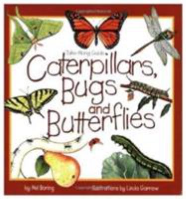 Caterpillars, Bugs, And Butterflies