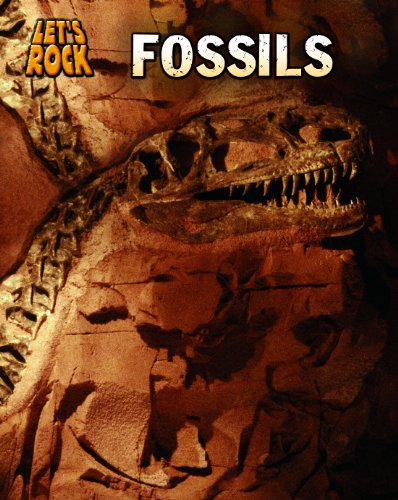 Fossils