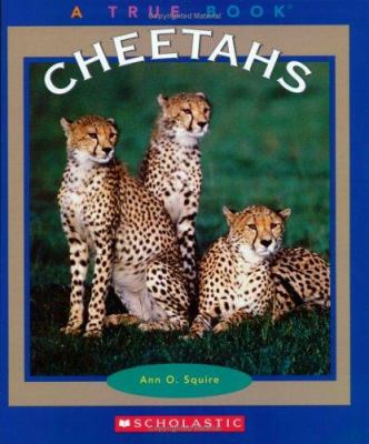 Cheetahs