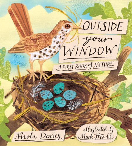 Outside your window : a first book of nature