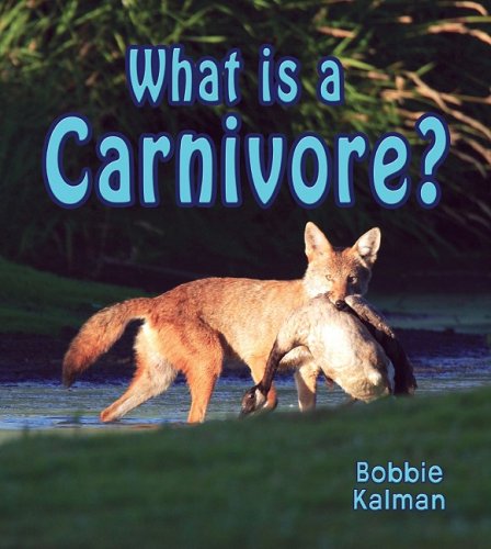 What is a carnivore?