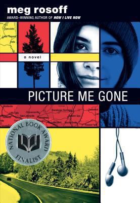 Picture me gone : a novel