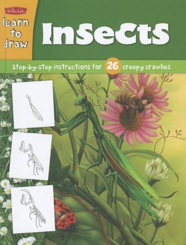 Learn to draw insects