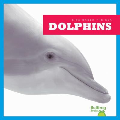 Dolphins