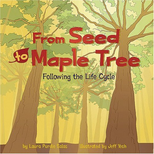 From seed to maple tree : following the life cycle