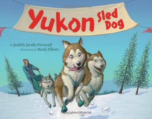 Yukon sled dog