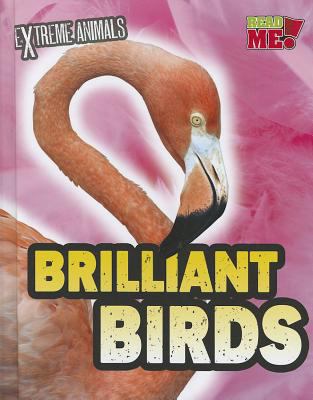 Brilliant birds