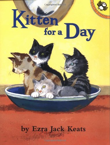 Kitten for a day