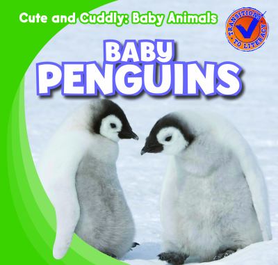 Baby penguins