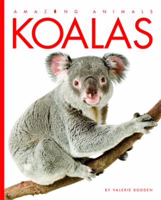 Koalas