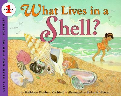 What lives in a shell?