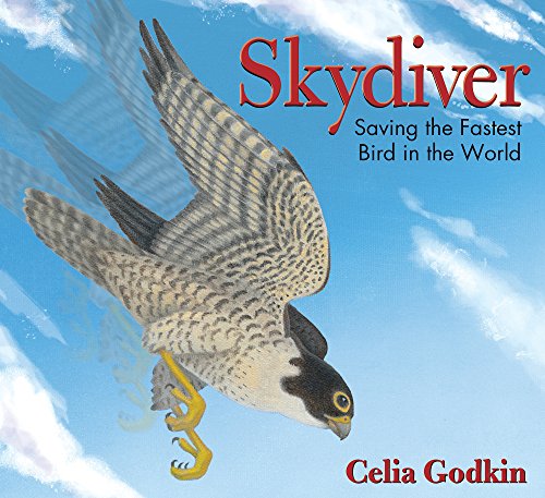 Skydiver : saving the fastest bird in the world