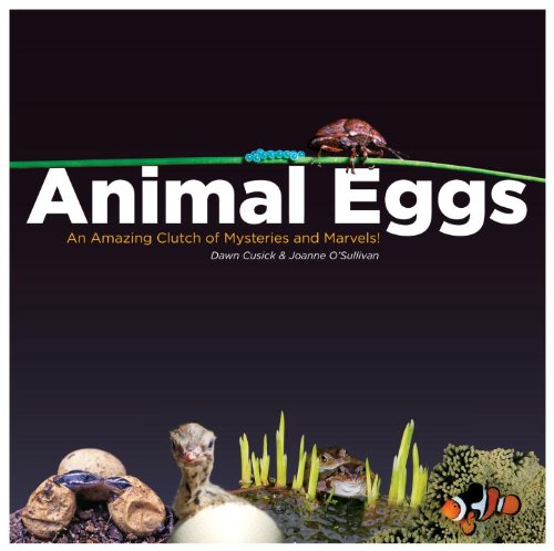 Animal eggs : an amazing clutch of mysteries & marvels!