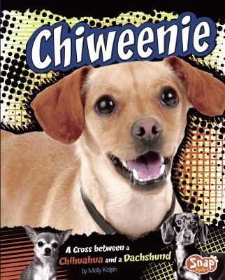 Chiweenie : a cross between a Chihuahua and a Dachshund