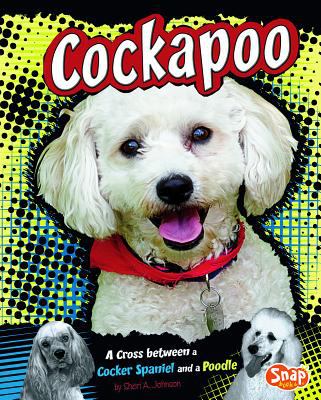 Cockapoo : a cross between a Cocker spaniel and a Poodle