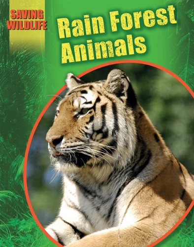 Rain forest animals