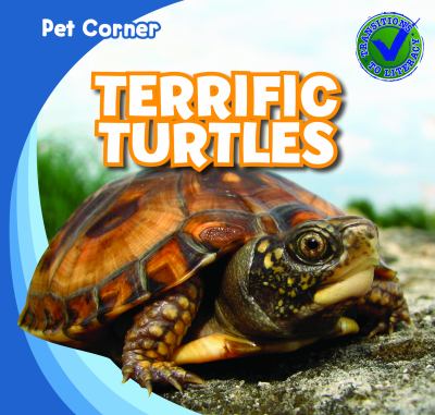 Terrific turtles