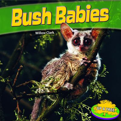 Bush Babies