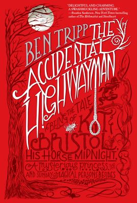 The accidental highwayman : being the tale of Kit Bristol, his horse Midnight, a mysterious princess, and sundry magical persons besides