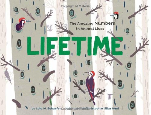 Lifetime the amazing numbers in animal lives