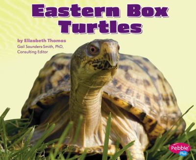 Eastern box turtles