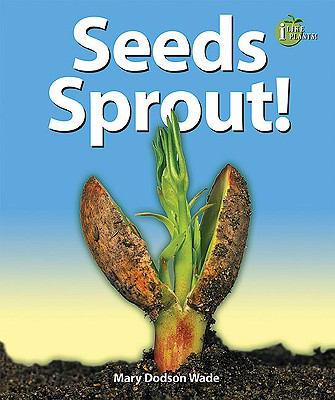 Seeds sprout!