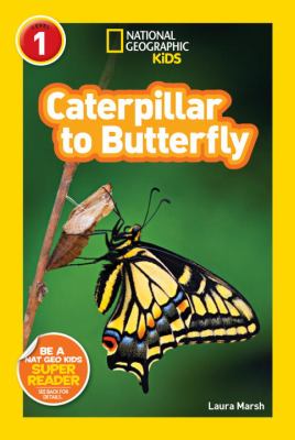 Caterpillar to butterfly