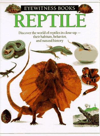 Reptile