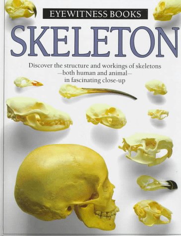 Skeleton