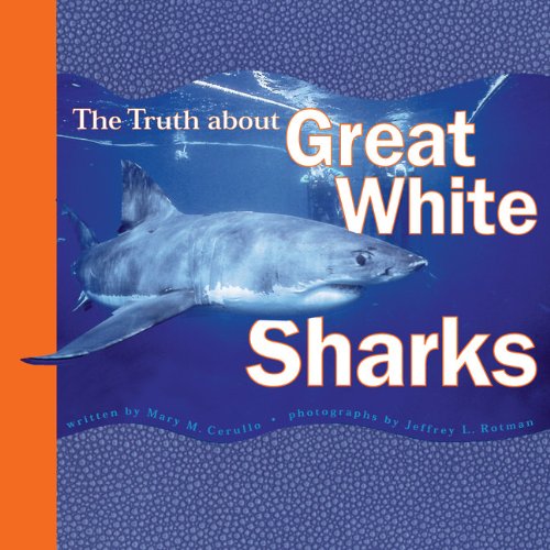 The truth about great white sharks