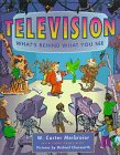 Television : what's behind what you see