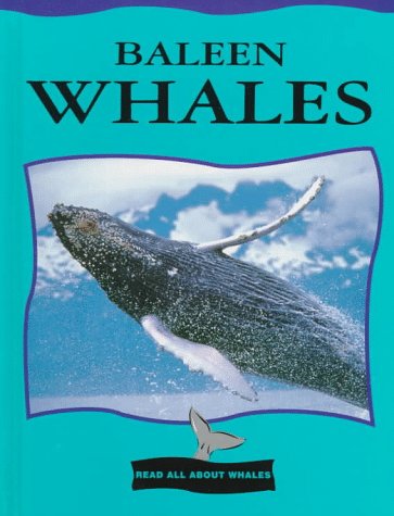 Baleen whales