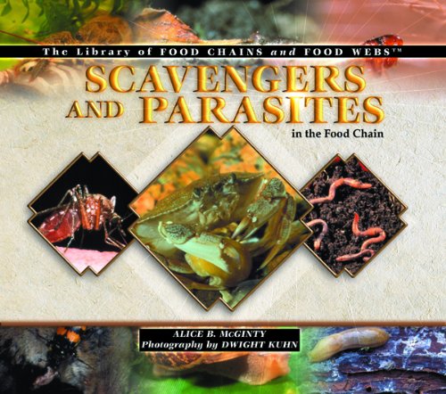 Scavengers and parasites in the food chain