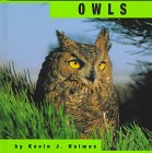 Owls