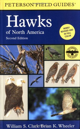 A field guide to hawks of North America