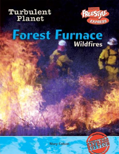 Forest furnace : wildfires
