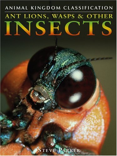 Ant lions, wasps & other insects