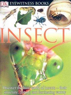 Insect