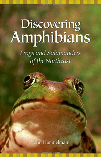 Discovering amphibians : frogs and salamanders of the Northeast