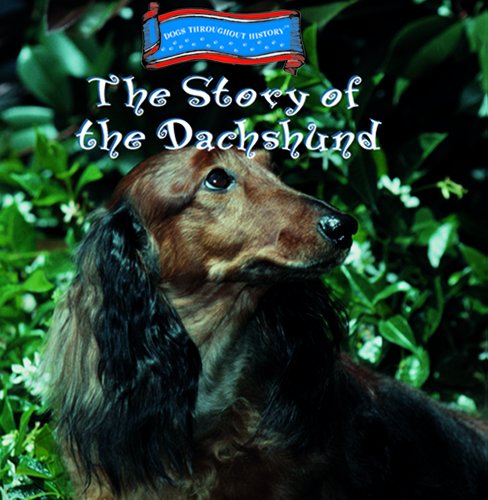 The story of the dachshund